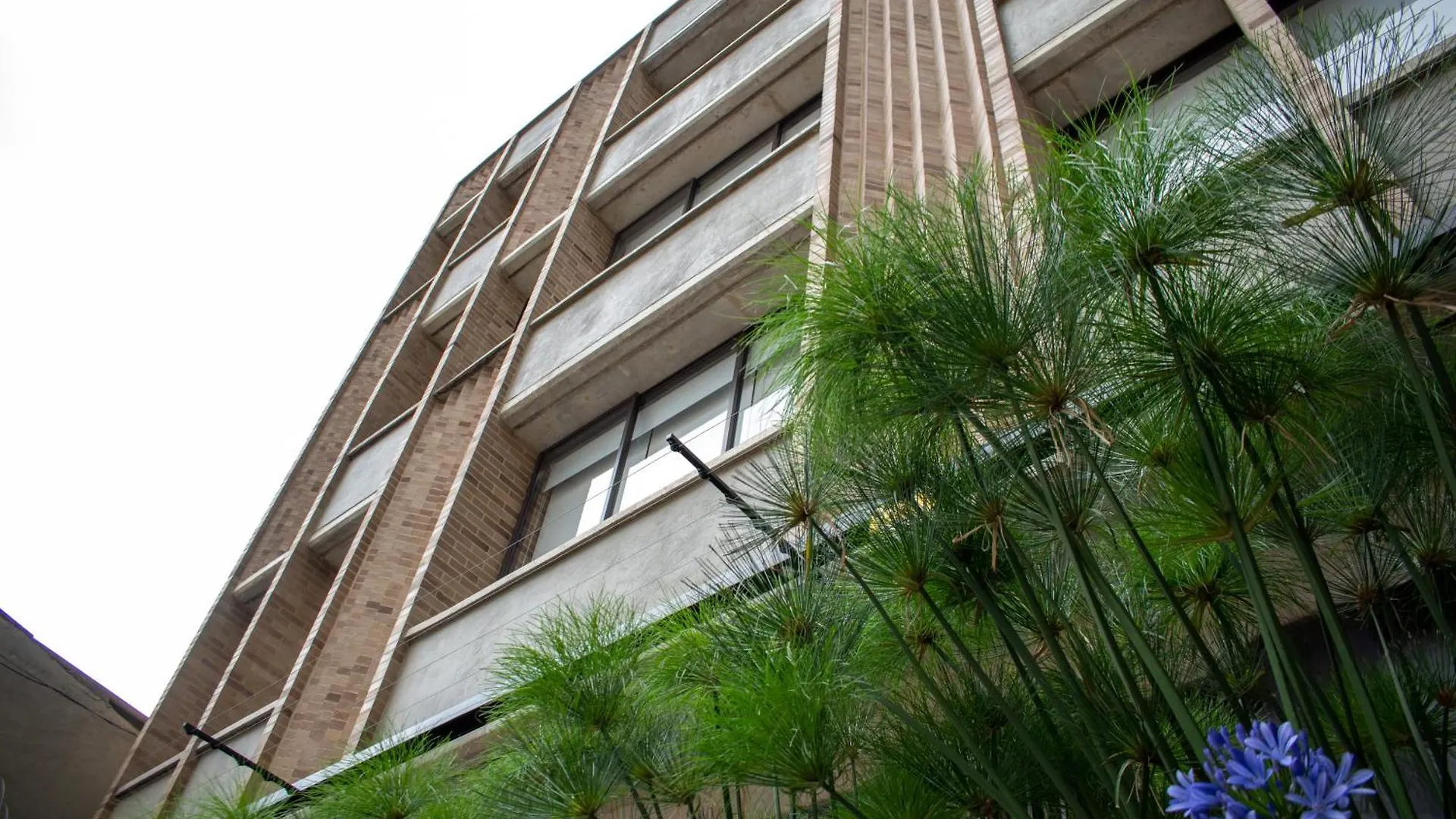 Cadena Hotelera Rey Es Bogotá